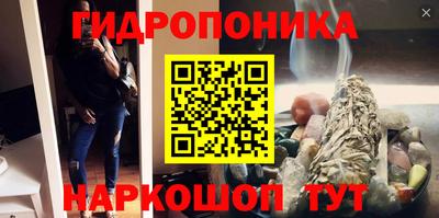 дмт Можга