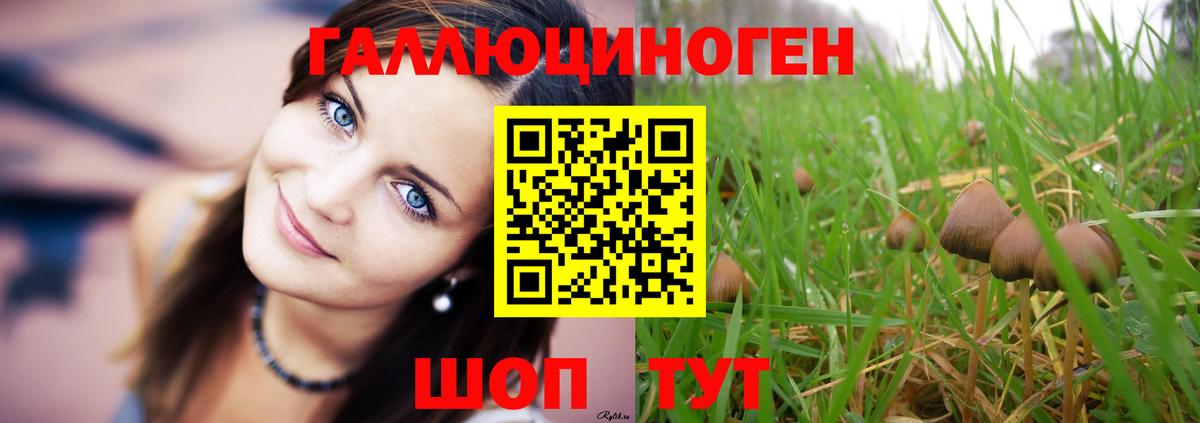 Галлюциногенные грибы Psilocybe  Вход с VPN  Электросталь 
